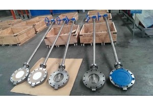 HP Double offset Butterfly Valve