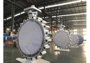 HP Double offset Butterfly Valve